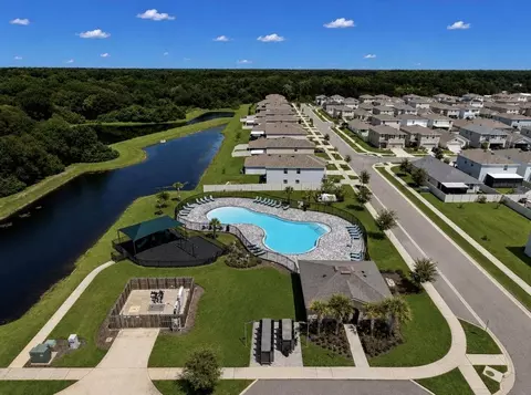 View/Area - 11967 Stone Pine St, Riverview, FL 33569 photo 10 of 10