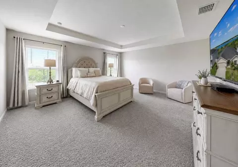 Bedroom - 11967 Stone Pine St, Riverview, FL 33569 photo 1 of 7