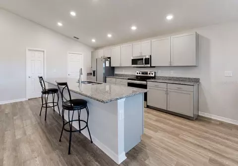 Kitchen - 11967 Stone Pine St, Riverview, FL 33569 photo 5 of 6