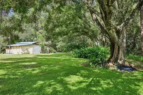 Exterior - 33245 Mandrake Rd, Wesley Chapel, FL 33543 photo 11 of 16