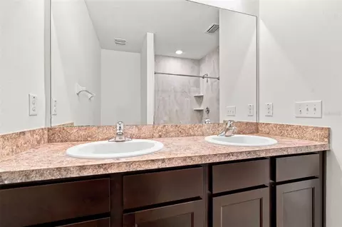 Bath - 10920 Carlton Fields Dr, Riverview, FL 33579 photo 3 of 3