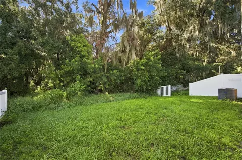 Exterior - 10920 Carlton Fields Dr, Riverview, FL 33579 photo 4 of 8