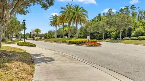 View/Area - 16636 Windmill Forge Pass, Wimauma, FL 33598 photo 2 of 13