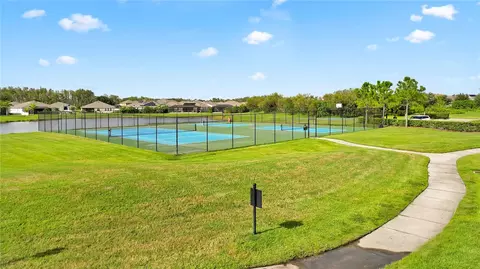 View/Area - 16636 Windmill Forge Pass, Wimauma, FL 33598 photo 5 of 13