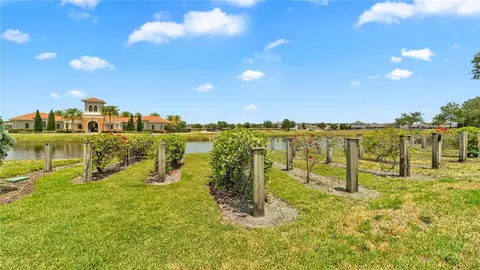 View/Area - 16636 Windmill Forge Pass, Wimauma, FL 33598 photo 10 of 13