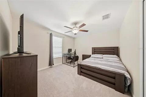 Bedroom - 13525 Wild Ginger St, Riverview, FL 33579 photo 5 of 5