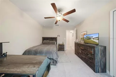 Bedroom - 13525 Wild Ginger St, Riverview, FL 33579 photo 4 of 5