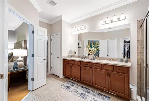 Bath - 10415 Alcon Blue Dr, Riverview, FL 33578 photo 4 of 5