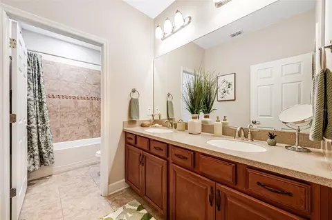Bath - 10415 Alcon Blue Dr, Riverview, FL 33578 photo 1 of 5