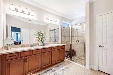 Bath - 10415 Alcon Blue Dr, Riverview, FL 33578 photo 3 of 5