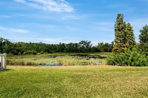 View/Area - 10415 Alcon Blue Dr, Riverview, FL 33578 photo 1 of 4