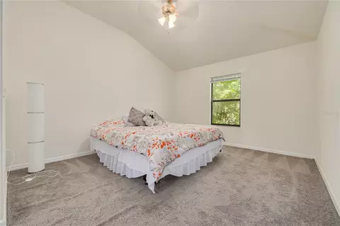 Bedroom - 13204 San Blas Loop, Largo, FL 33774 photo 5 of 5