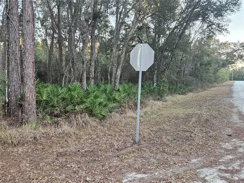 Rosehill Drive, Webster, FL 33597 photo 6