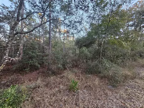 Rosehill Drive, Webster, FL 33597 photo 5
