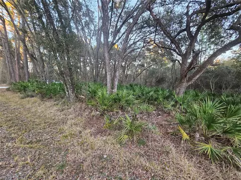 Rosehill Drive, Webster, FL 33597 photo 3