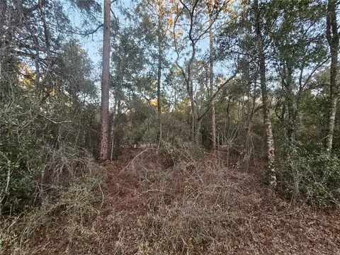 Rosehill Drive, Webster, FL 33597 photo 4