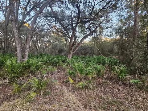 Rosehill Drive, Webster, FL 33597 photo 2