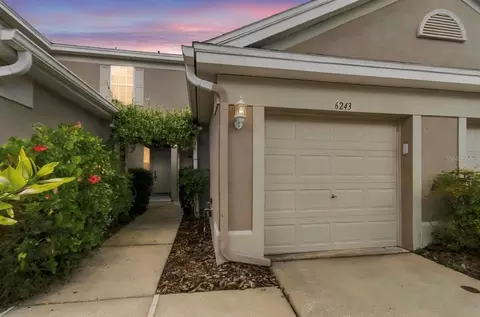 6243 Duck Key Ct, Tampa, FL 33625