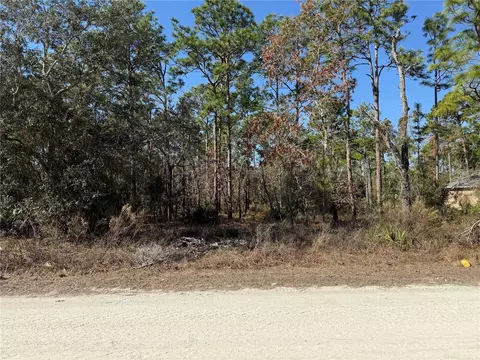 10845 Macassar Rd, Weeki Wachee, FL 34614