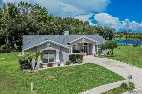Exterior - 12935 Raysbrook Dr, Riverview, FL 33569 photo 1 of 10