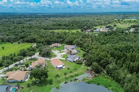 View/Area - 12935 Raysbrook Dr, Riverview, FL 33569 photo 4 of 5