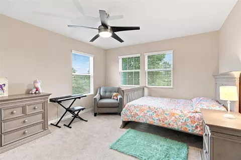 Bedroom - 19065 Malinche Loop, Spring Hill, FL 34610 photo 5 of 6
