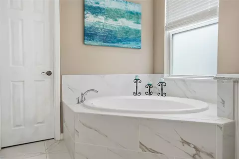 Bath - 33564 Willow Point Ct, Wesley Chapel, FL 33545 photo 2 of 10