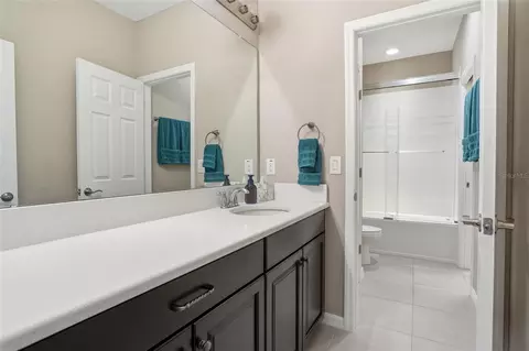 Bath - 33564 Willow Point Ct, Wesley Chapel, FL 33545 photo 8 of 10
