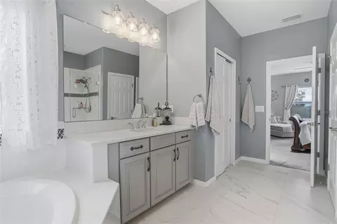 Bath - 33564 Willow Point Ct, Wesley Chapel, FL 33545 photo 7 of 10