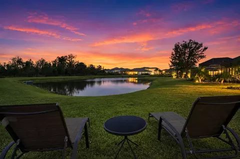 Other - 33564 Willow Point Ct, Wesley Chapel, FL 33545 photo 1 of 15