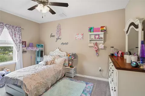 Bedroom - 33564 Willow Point Ct, Wesley Chapel, FL 33545 photo 7 of 8