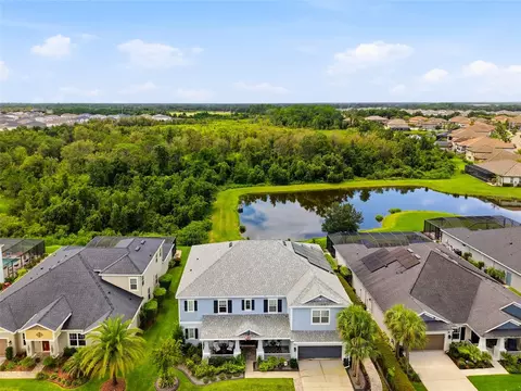 View/Area - 33564 Willow Point Ct, Wesley Chapel, FL 33545 photo 1 of 3