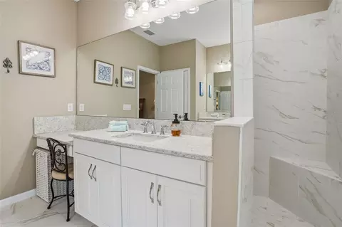 Bath - 33564 Willow Point Ct, Wesley Chapel, FL 33545 photo 3 of 10