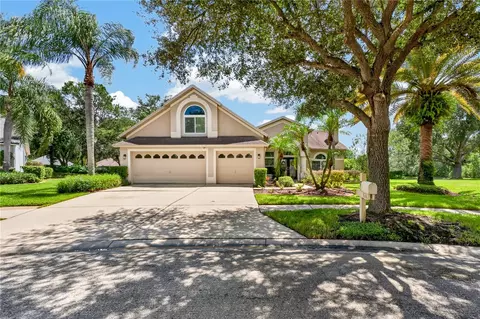 10160 Whisper Pointe Dr, Tampa, FL 33647