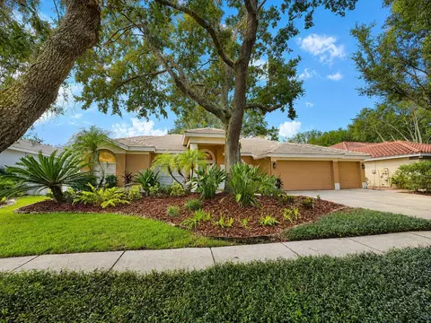 9323 Wellington Park Cir, Tampa, FL 33647