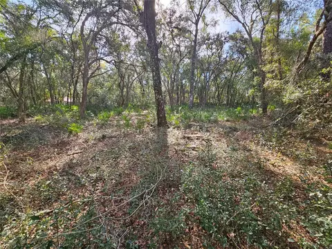 Rosehill Drive, Webster, FL 33597 photo 10