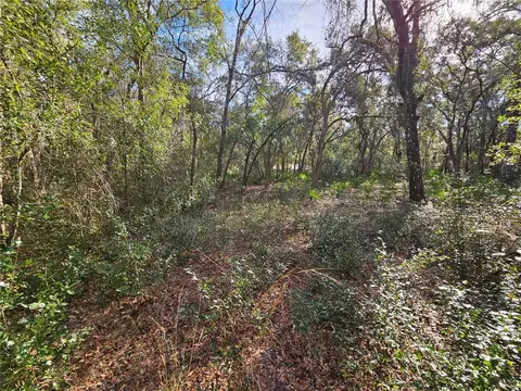 Rosehill Drive, Webster, FL 33597 photo 9