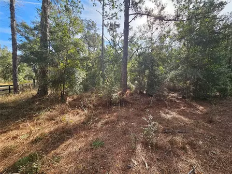 Rosehill Drive, Webster, FL 33597 photo 8