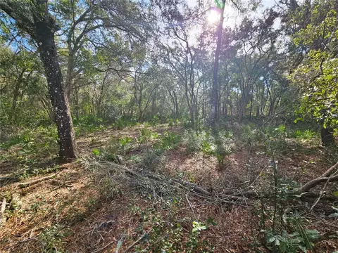 Rosehill Drive, Webster, FL 33597 photo 12