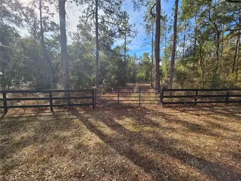 Rosehill Drive, Webster, FL 33597 photo 7