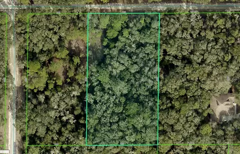 Rosehill Drive, Webster, FL 33597 photo 17