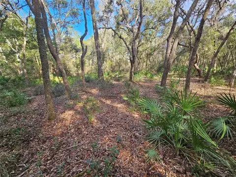 Rosehill Drive, Webster, FL 33597 photo 14