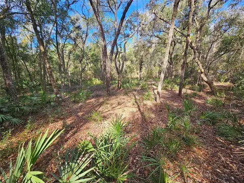 Rosehill Drive, Webster, FL 33597 photo 15