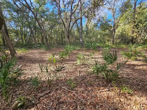 Rosehill Drive, Webster, FL 33597 photo 16