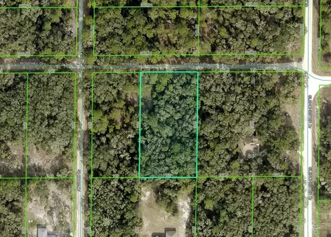 Rosehill Drive, Webster, FL 33597 photo 18