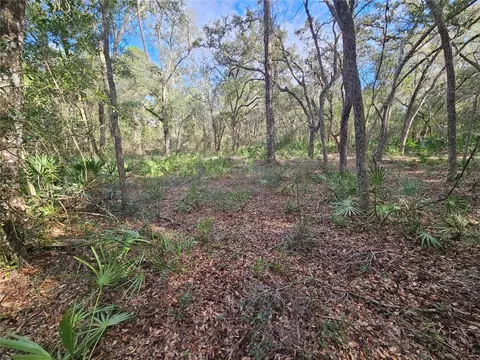 Rosehill Drive, Webster, FL 33597 photo 13