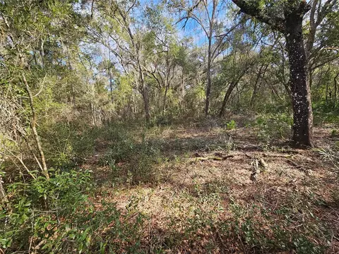 Rosehill Drive, Webster, FL 33597 photo 11