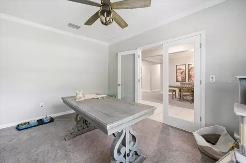 Other - 15488 Scolder Loop, Weeki Wachee, FL 34614 photo 12 of 17