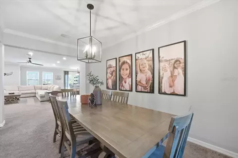 Dining - 15488 Scolder Loop, Weeki Wachee, FL 34614 photo 6 of 6