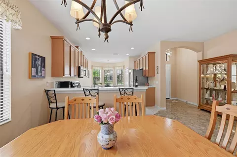 Dining - 229 Silver Falls Dr, Apollo Beach, FL 33572 photo 3 of 6